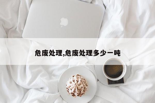 危废处理,危废处理多少一吨