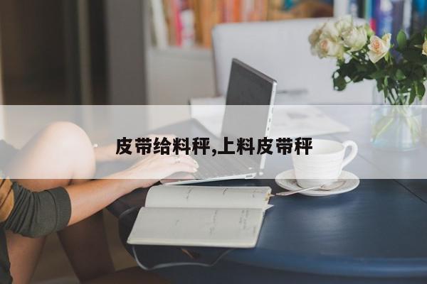 皮带给料秤,上料皮带秤