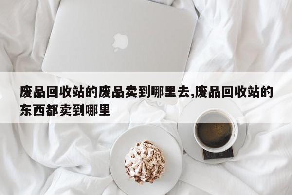 废品回收站的废品卖到哪里去,废品回收站的东西都卖到哪里